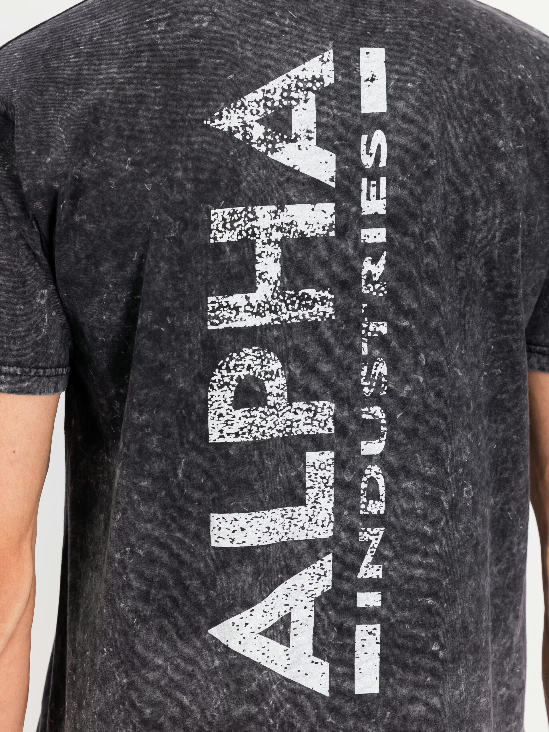 Alpha Industries - Back Print T Vintage - immagine 6